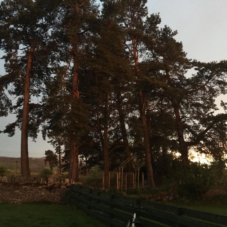 ホテル Columba House キングシー エクステリア 写真